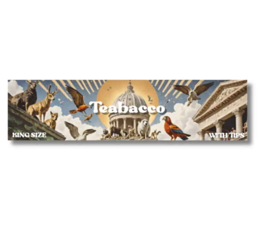 Both Teabacco Flavors + Limited Paperfilter Kit - Teabacco